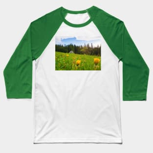 old house in the meadow Baseball T-Shirt